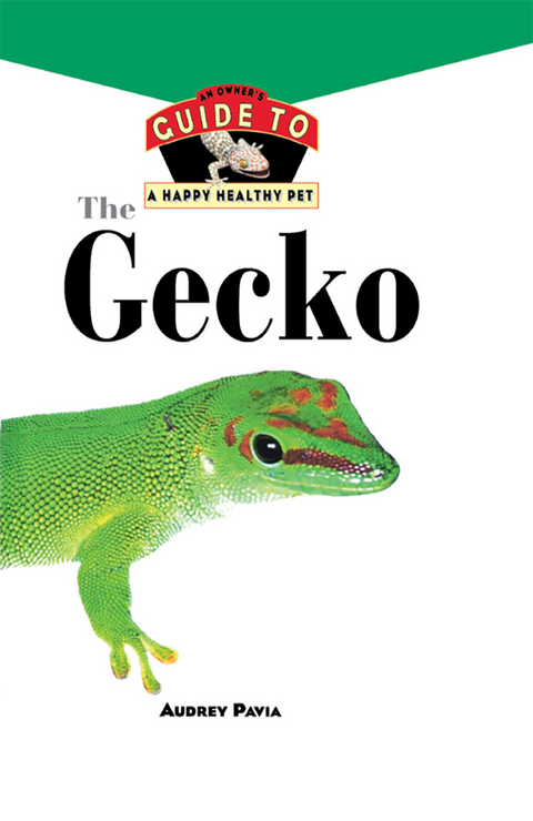 The Gecko - Audrey Pavia