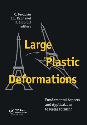 Large Plastic Deformations: Fundamental Aspects and Applications to Metal Forming - 
