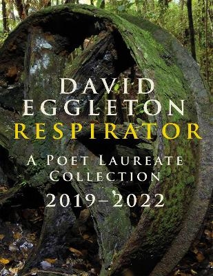 Respirator - David Eggleton