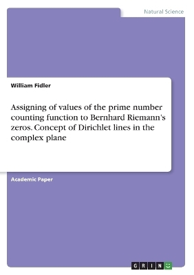 Assigning of values of the prime number counting function to Bernhard Riemann's zeros. Concept of Dirichlet lines in the complex plane - William Fidler