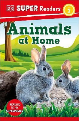 DK Super Readers Level 2 Animals at Home -  Dk