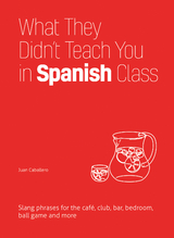 What They Didn't Teach You in Spanish Class -  Juan Caballero