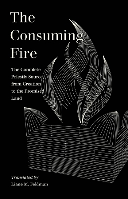 The Consuming Fire - Liane M. Feldman