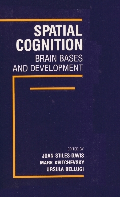 Spatial Cognition - 