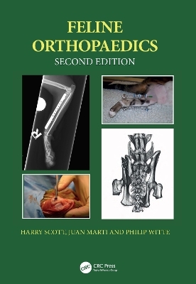 Feline Orthopaedics - Harry Scott, Juan M. Marti, Philip Witte