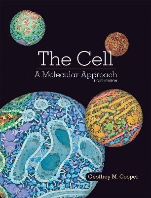 The Cell -  Cooper