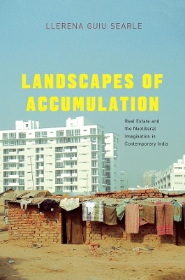 Landscapes of Accumulation - Llerena Guiu Searle