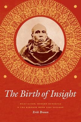 The Birth of Insight - Erik Braun