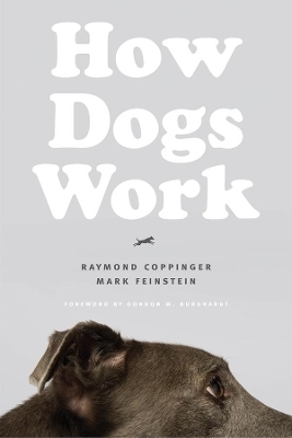 How Dogs Work - Raymond Coppinger, Mark Feinstein