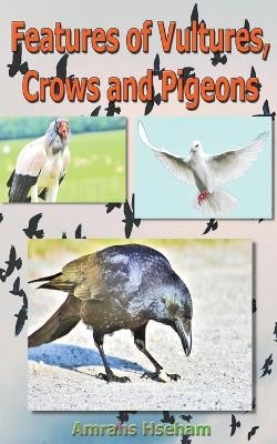 Features of Vultures, Crows and Pigeons - Amrahs Hseham