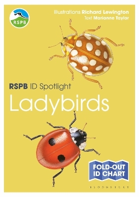 RSPB ID Spotlight - Ladybirds - Marianne Taylor