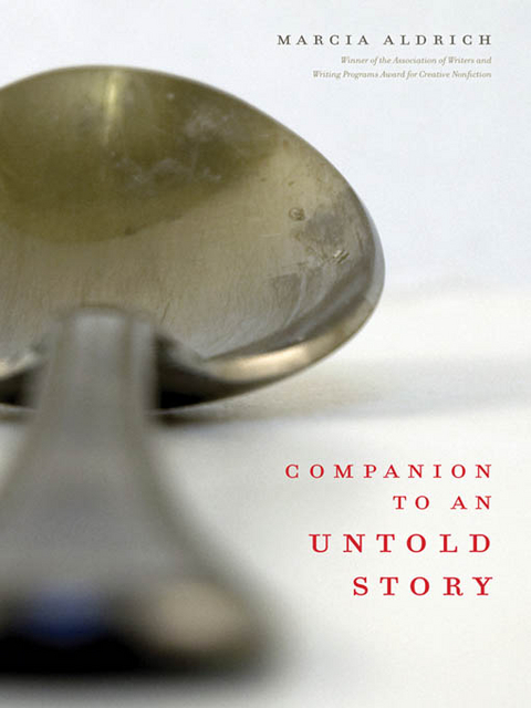 Companion to an Untold Story -  Marcia Aldrich