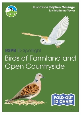 RSPB ID Spotlight - Birds of Farmland and Open Countryside - Marianne Taylor