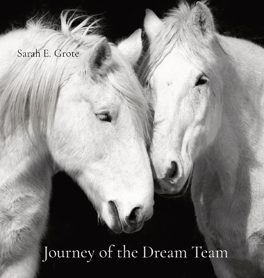 Journey of the Dream Team - Sarah E Grote