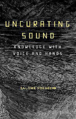 Uncurating Sound - Dr Salomé Voegelin