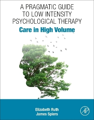 A Pragmatic Guide to Low Intensity Psychological Therapy - Elizabeth Ruth, James Spiers