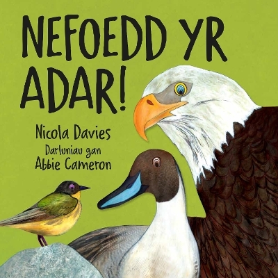 Nefoedd Yr Adar! - Nicola Davies