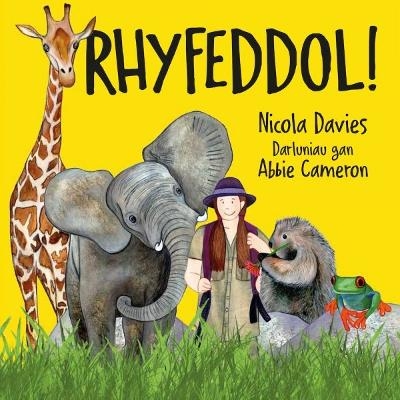 Rhyfeddol! - Nicola Davies