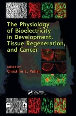 The Physiology of Bioelectricity in Development, Tissue Regeneration and Cancer - 