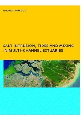 Salt Intrusion, Tides and Mixing in Multi-Channel Estuaries - Anh Duc Nguyen