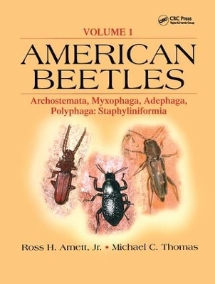 American Beetles, Volume I - 