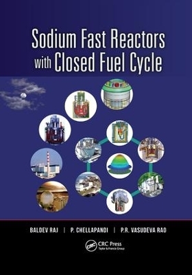 Sodium Fast Reactors with Closed Fuel Cycle - Baldev Raj, P. Chellapandi, P.R. Vasudeva Rao