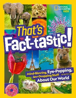 That’s Fact-Tastic! -  National Geographic Kids