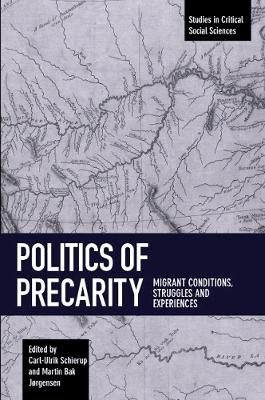 Politics Of Precarity - 