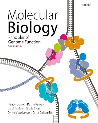 Molecular Biology - Nancy Craig, Rachel Green, Carol Greider, Gisela Storz, Cynthia Wolberger