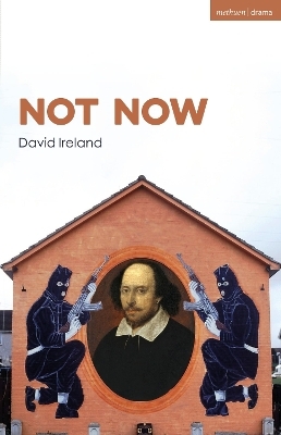 Not Now - Mr David Ireland