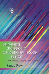 Surviving the Special Educational Needs System -  Sandy Row