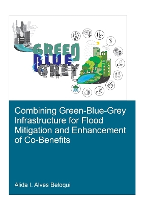 Combining Green-Blue-Grey Infrastructure for Flood Mitigation and Enhancement of Co-Benfits - Alida Alves Beloqui