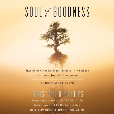 Soul of Goodness - Christopher Phillips