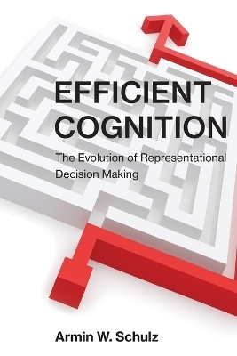 Efficient Cognition - Armin W. Schulz