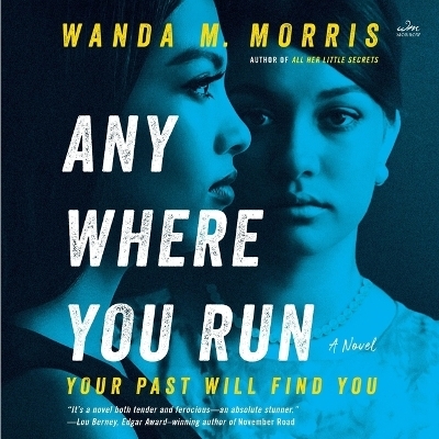 Anywhere You Run - Wanda M Morris