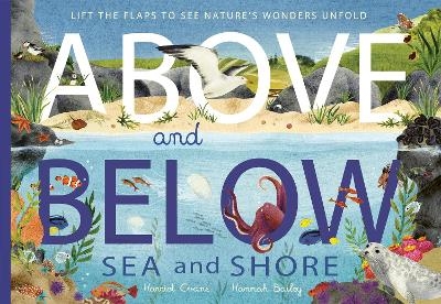 Above and Below: Sea and Shore - Harriet Evans, Hannah Bailey