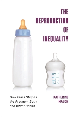 The Reproduction of Inequality - Katherine Mason