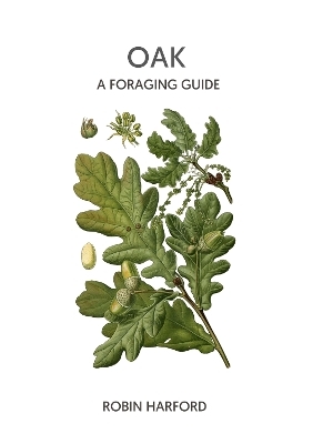 Oak - A Foraging Guide - Robin Harford