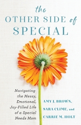 The Other Side of Special – Navigating the Messy, Emotional, Joy–Filled Life of a Special Needs Mom - Amy J Brown, Sara Clime, Carrie M Holt