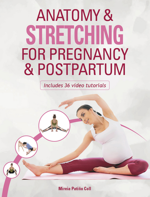 Anatomy & Stretching for Pregnancy & Postpartum - Mireia Patiño Coll