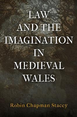 Law and the Imagination in Medieval Wales - Robin Chapman Stacey