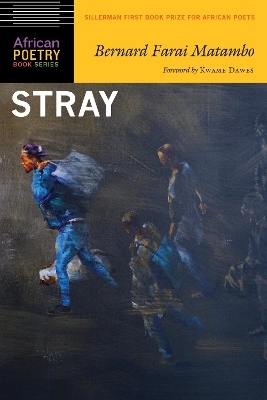 Stray - Bernard Farai Matambo