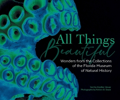 All Things Beautiful -  Florida Museum of Natural History