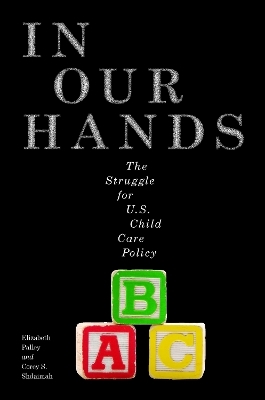 In Our Hands - Elizabeth Palley, Corey S. Shdaimah