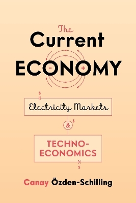 The Current Economy - Canay Özden-Schilling