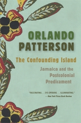 The Confounding Island - Orlando Patterson