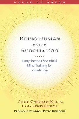 Being Human and a Buddha Too - Anne Klein