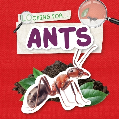 Ants - Emilie Dufresne