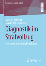 Diagnostik im Strafvollzug - Stefanie Schmidt, Silvia Sibyll Hawliczek
