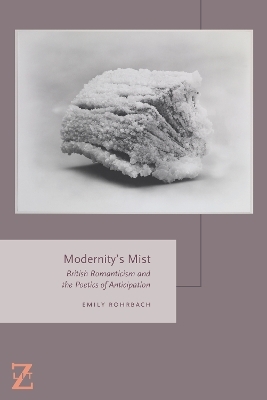 Modernity's Mist - Emily Rohrbach